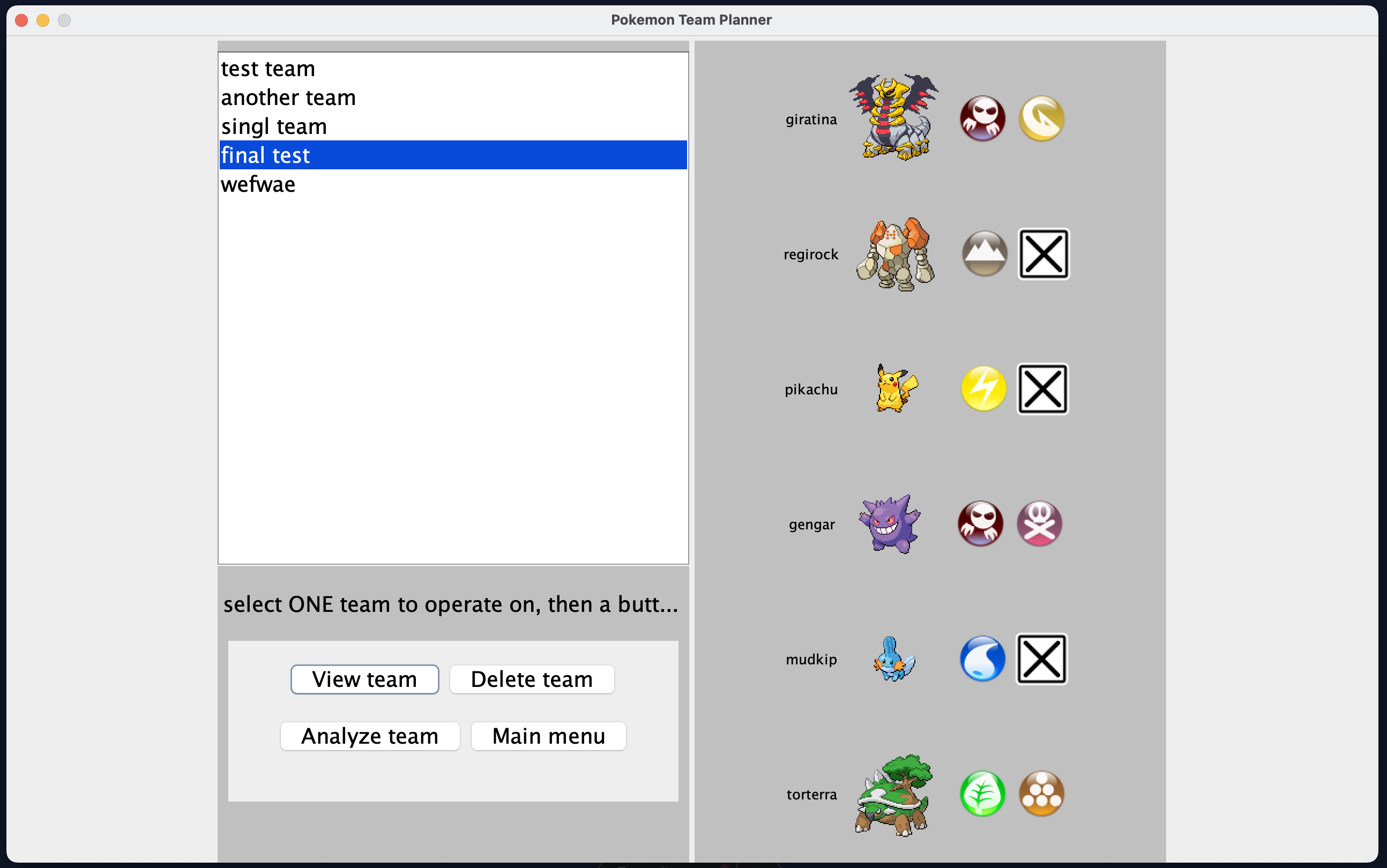 Screenshot of "view team" feature